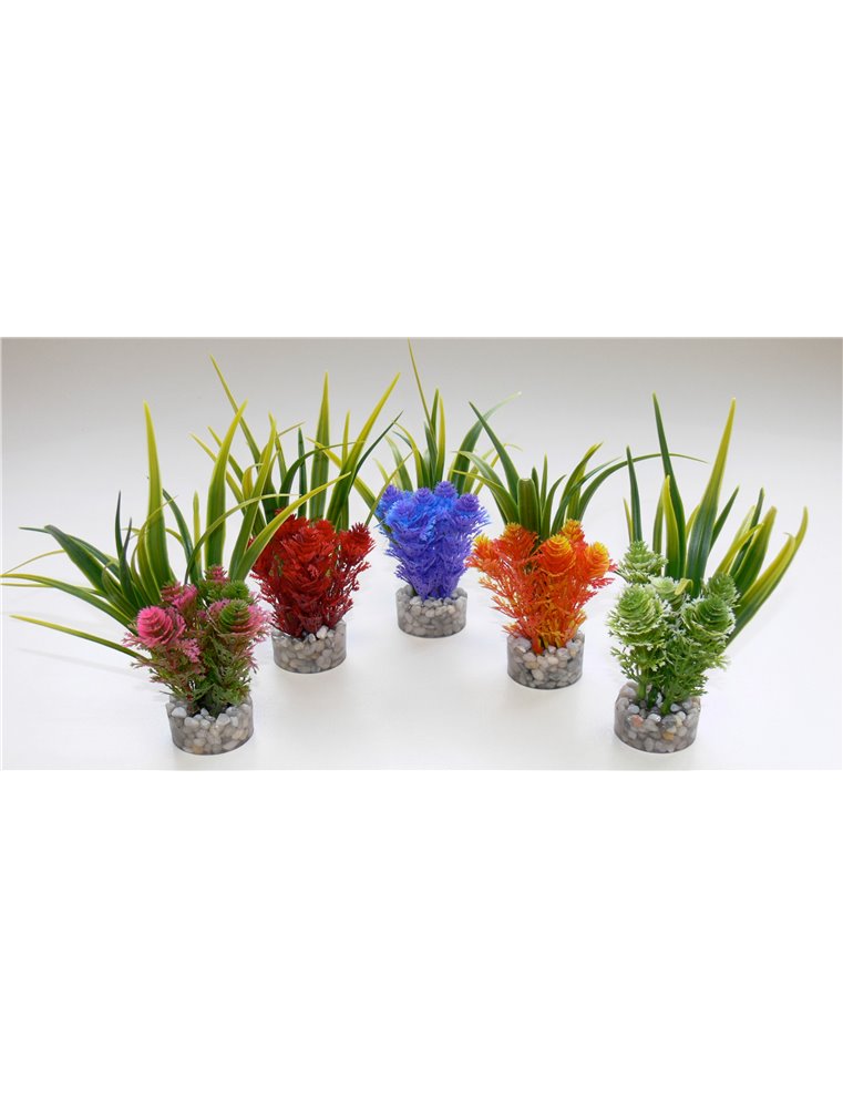 Sydeco nano fiesta flower