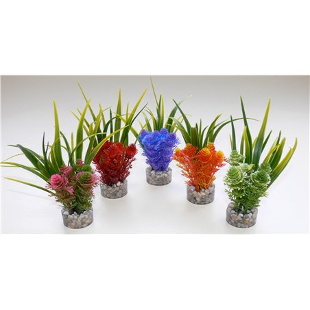 Sydeco nano fiesta flower