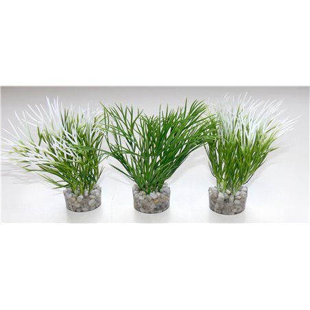 Sydeco nano green plant