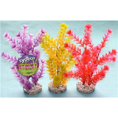 Sydeco fiesta aqua plant