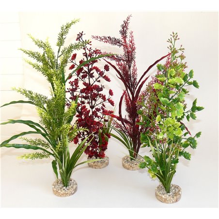 Sydeco aqua forest sicily