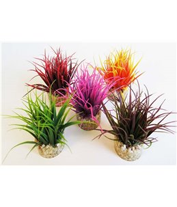 Sydeco aqua nano moss