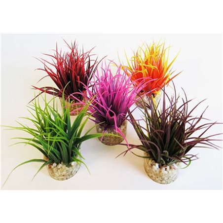 Sydeco aqua nano moss