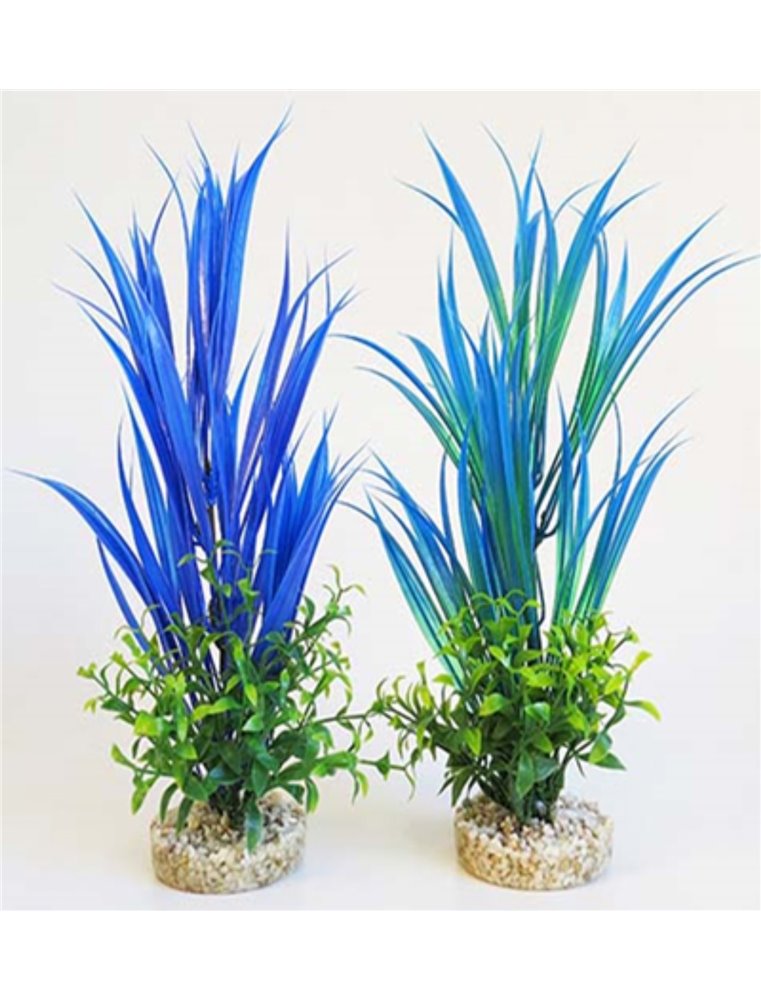 Sydeco aqua blue ocean plants