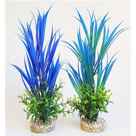Sydeco aqua blue ocean plants