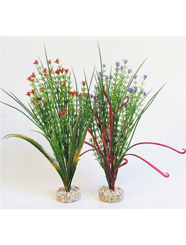 Sydeco aqua bouquet plants