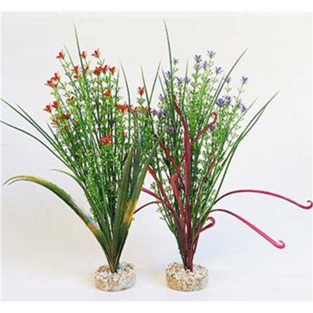 Sydeco aqua bouquet plants