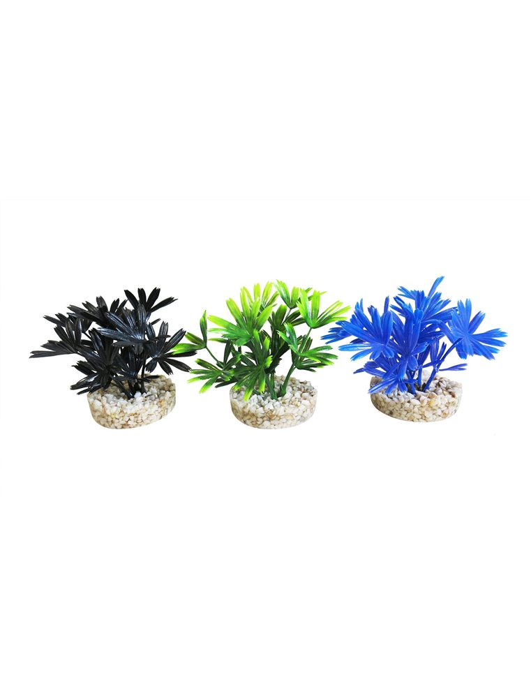 Sydeco mini dark plant