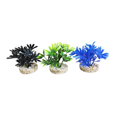 Sydeco mini dark plant