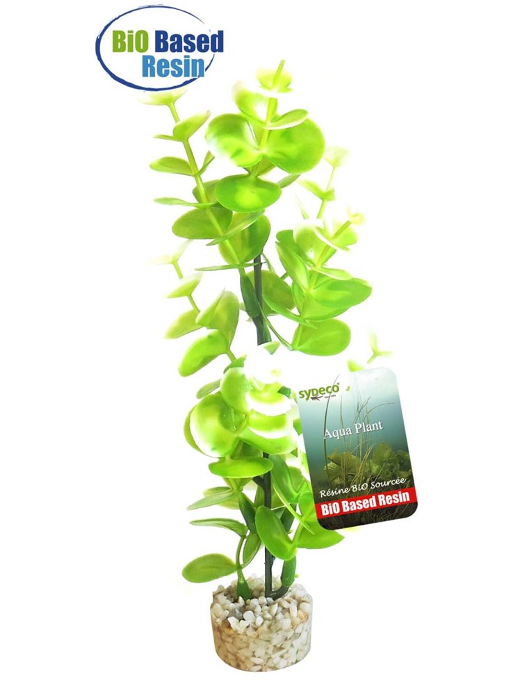 Sydeco bio aqua eucalyptus