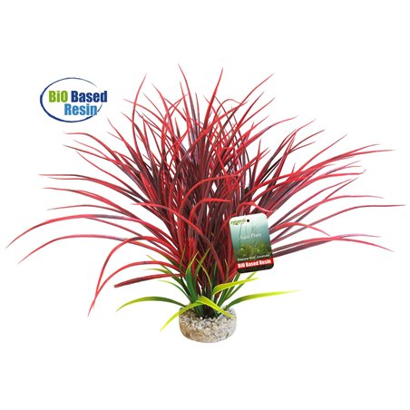 Sydeco bio aqua acorus