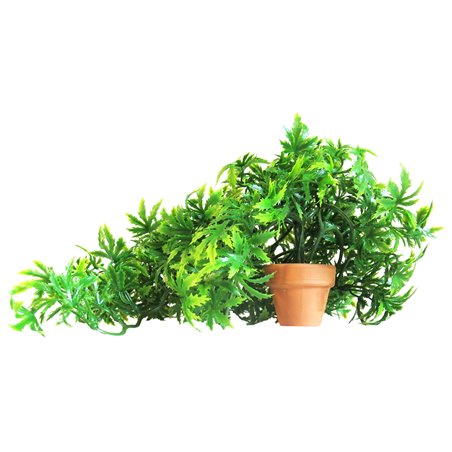 Sydeco florida vivarium