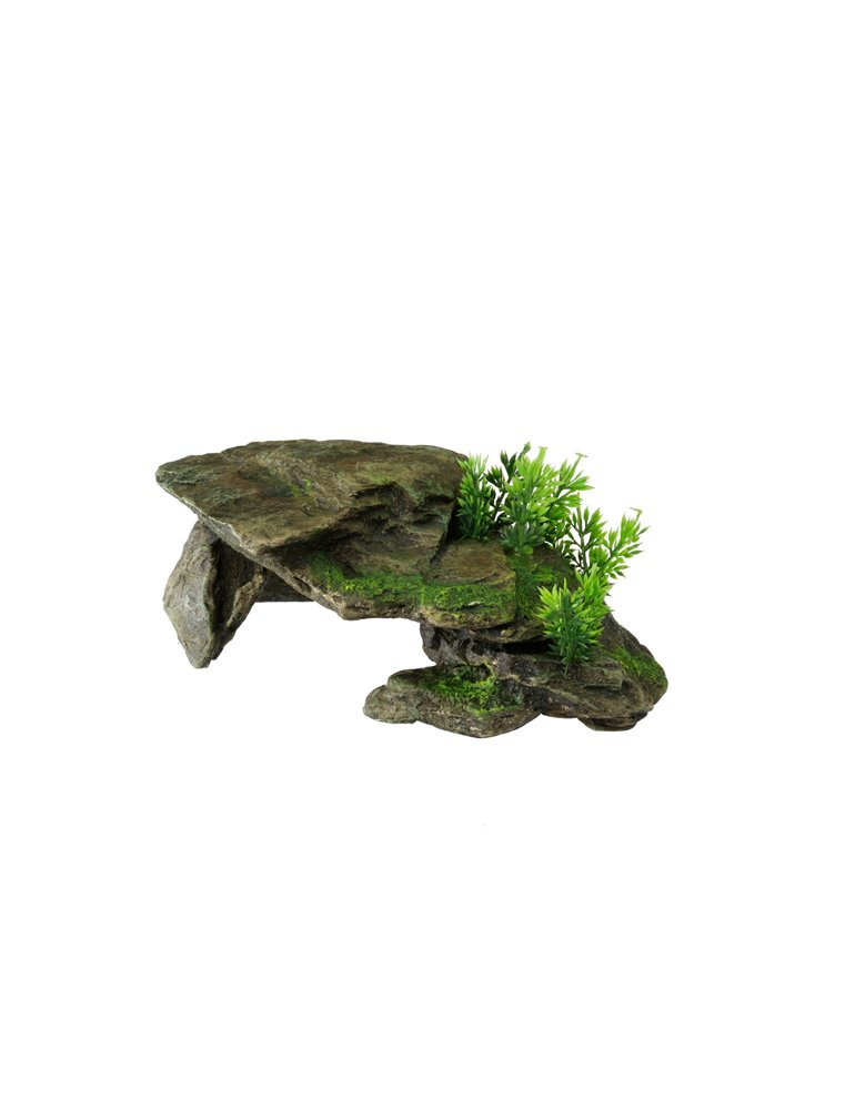 Deco stone with plants