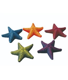 Starfish