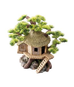 Bonsai house