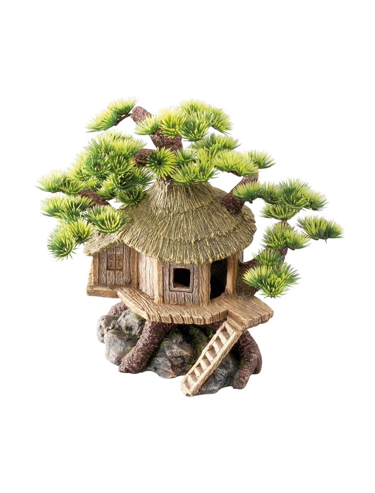 Bonsai house