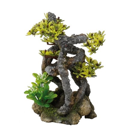 Twist bonsai