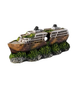 Mini cruiseship