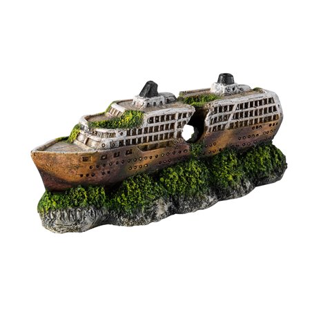 Mini cruiseship