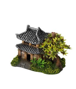 Asian house with plants