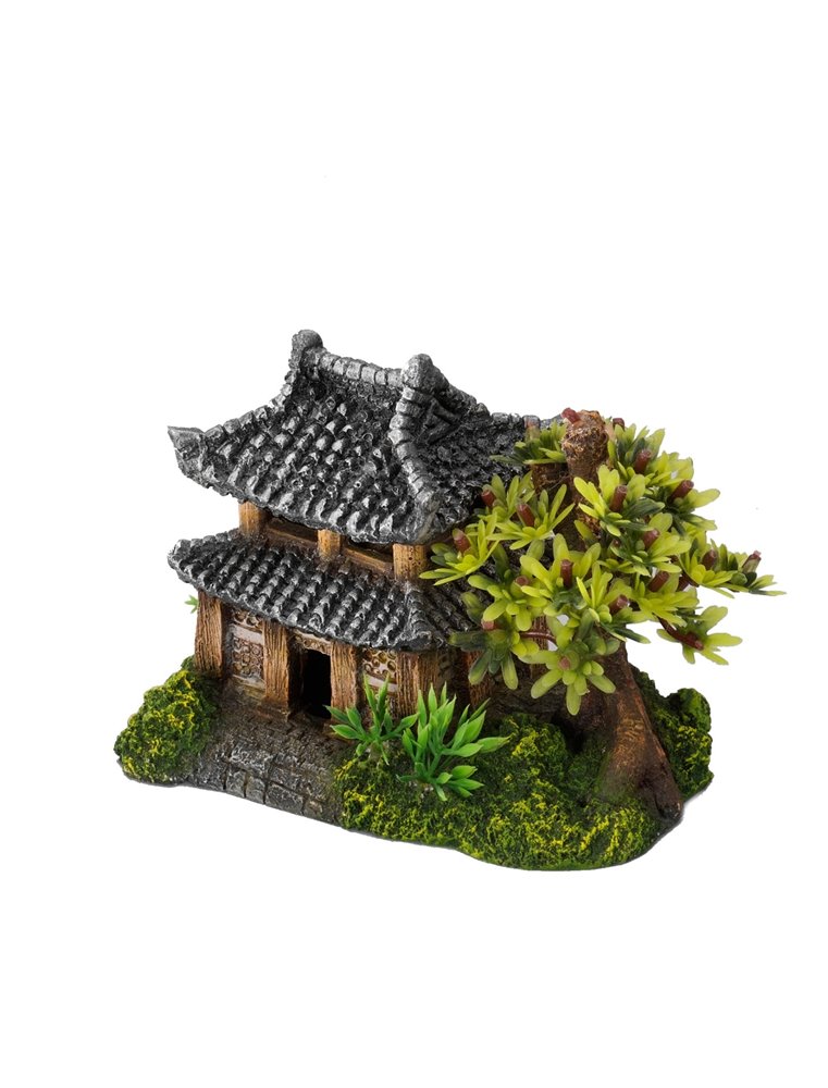 Asian house with plants