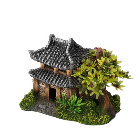 Asian house with plants