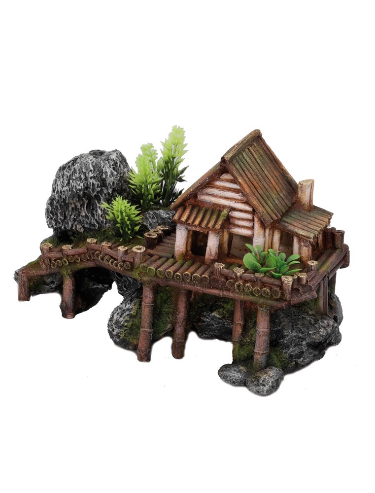 Wooden house with plants