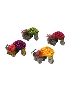 Coralset mini /with plants/assort