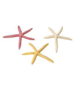 Starfish mix