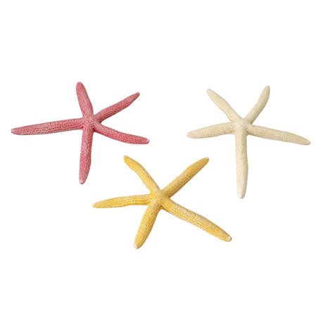 Starfish mix