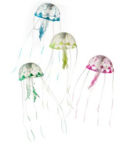 Jellyfish /color mix
