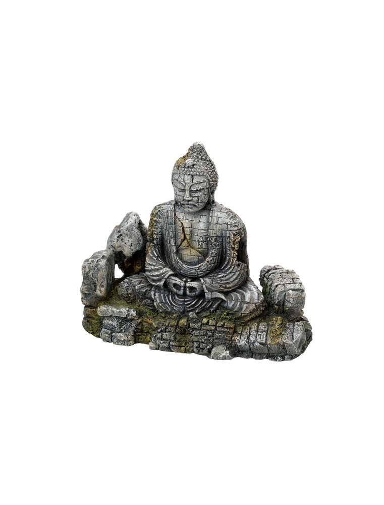 Buddha