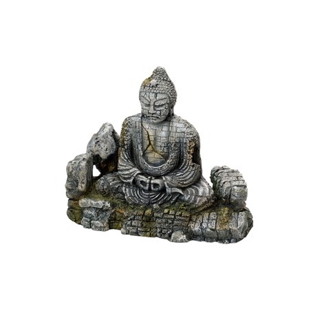 Buddha