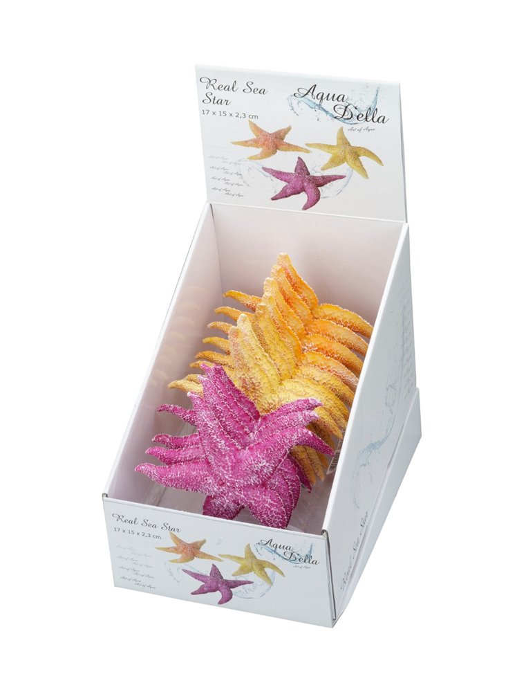 Real sea star assorted
