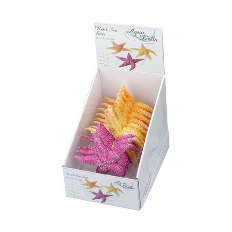 Real sea star assorted