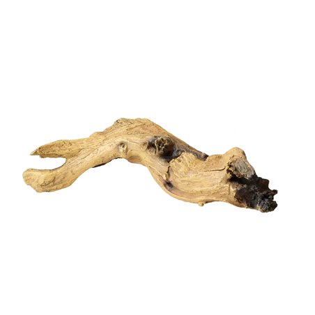 Mopani wood | 3