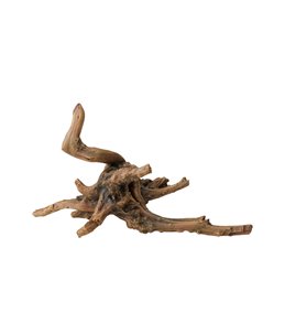 Driftwood | 4
