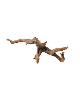 Driftwood | 6