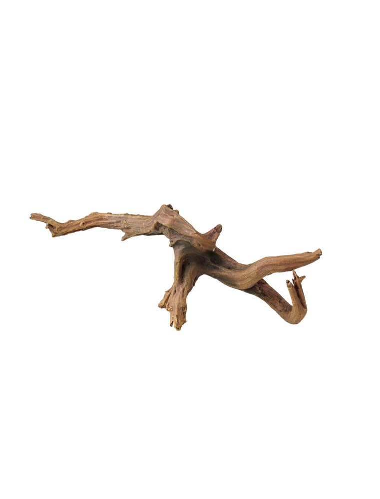 Driftwood | 6