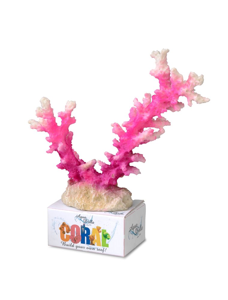 Coral module staghorn coral