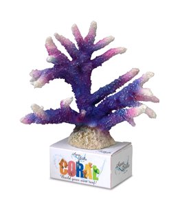 Coral module staghorn coral
