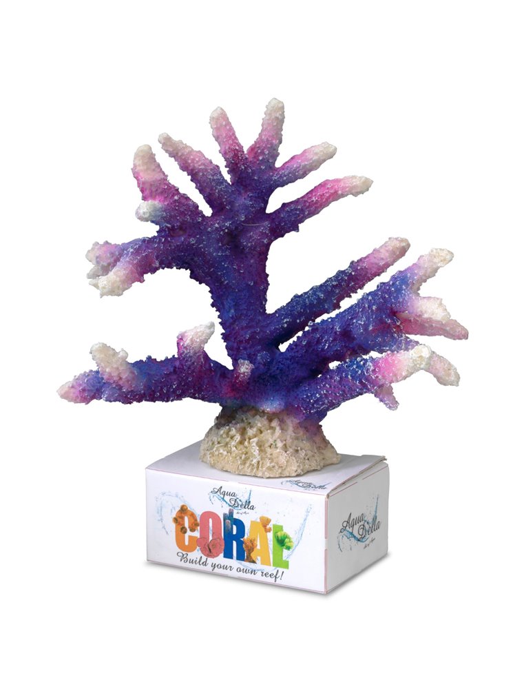 Coral module staghorn coral