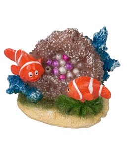 Clownfish 8