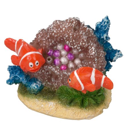 Clownfish 8