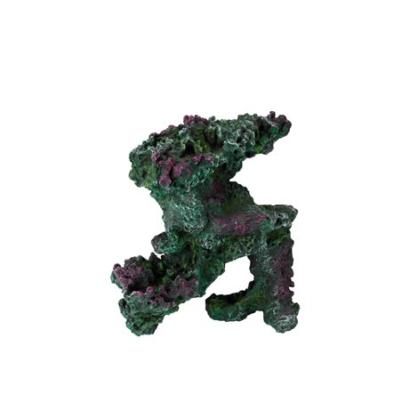 Coral reef turkey stone 1