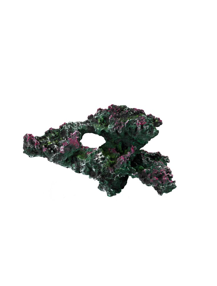 Coral reef turkey stone 3