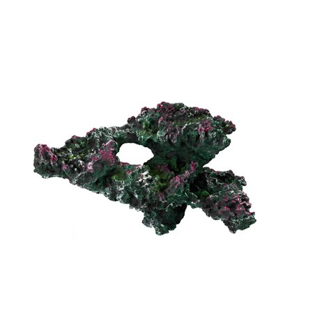 Coral reef turkey stone 3