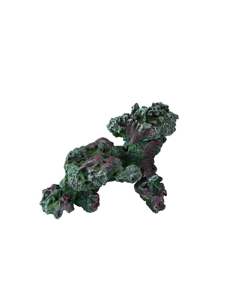 Coral reef turkey stone 4