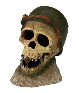 Soldier skull