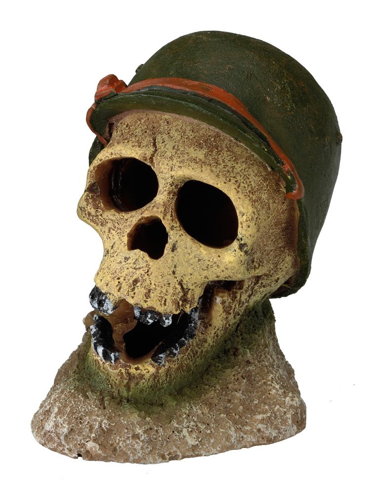 Soldier skull